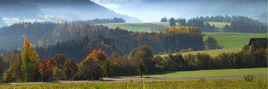 Schwarzwald bei Dornstetten