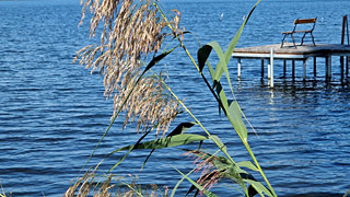 Schwielowsee