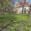 Lutherpark