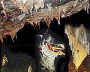 Drachen, noch dem die Höhle in Syrau benannt wurde