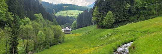 Oppenau im Schwarzwald, Kreis Ortenau - Lierbachtal, Renchtal © rsester #23445072