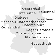 Stadtteile bzw. Orte im Stadtgebiet von Hammelburg