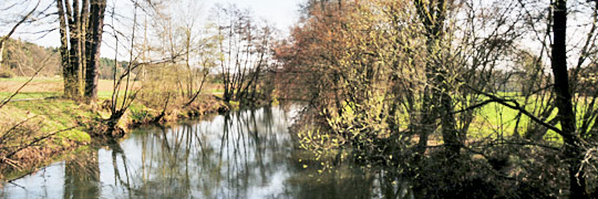 die Pegnitz bei Schwaig
