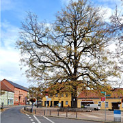 hist. Maktplatz Biesenthal-Danewitz