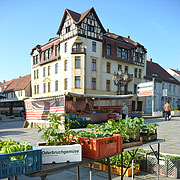 Gemüse aus dem Oderbruch und gediehene Tomatenpflanzen, frisch am Markt Freienwalde angeboten