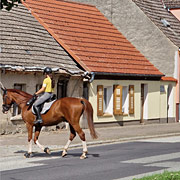Achtung, Pferd on Tour