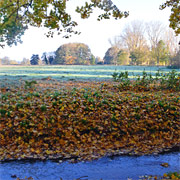 Meyenburg