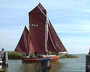 Zeesenboote - traditionell Wettfahrten und Gästefahrten sind auch vom Altenhagener Hafen aus möglich