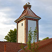 Storchenturm Stolzenau besetzt 