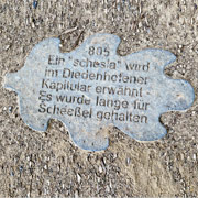 Eichenblätter auf dem Geschichtspfad im Rathauspark
