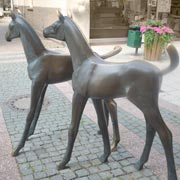 Pferde in der Fußgängerzone von Verden