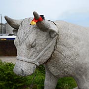 Denkmal für die fetten Ochsen von Nordenham, vom respektlosen Witzbolden tricolor an die Eisenkette gelegt