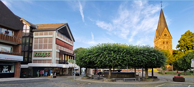 Steinheim