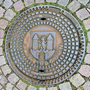 raguhner Scleusendeckel