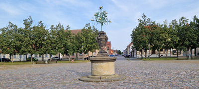 Oranienbaum Markt mit Orangebäumchen