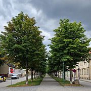 Kastanienallee in Ballenstedt