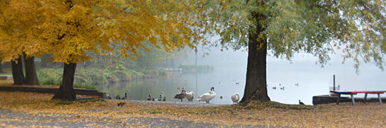 herbstlich schöner Flickschupark in Burg bei Magdeburg