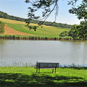 Teichreiches Rammenau
