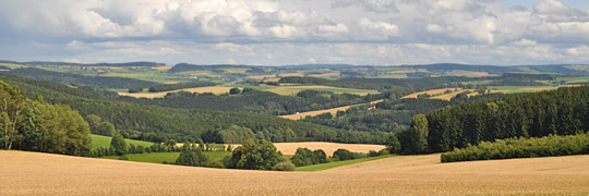 Gelenau Wilischtal