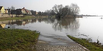 Elbe bei Sörnewitz und höherem Pegel