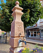 schön umpflanzter Brunnen